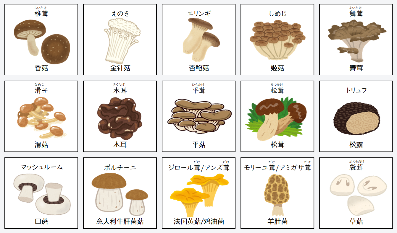 日语在线自学网站 | 【単語】キノコの日本語名称(菇类日语名称)