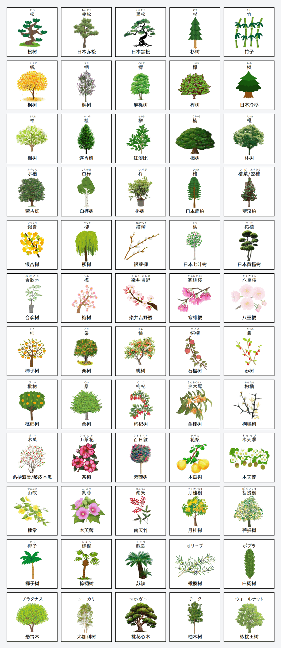 日语在线自学网站 | 【単語】樹木の名称(树木名称)